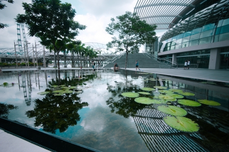 SINGAPORE - FEBRUARY 26: Trees and pond with lotus flowers near Museum of Fine Arts on business district Marina Bay Sands on February 26, 2013. Urban landscape with modern skyscrapers. Singaporeのeditorial素材