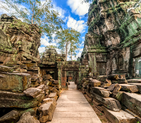 Ancient Khmer architecture  Ta Prohm temple with giant banyan tree at Angkor Wat complex, Siem Reap, Cambodia  Two images panoramaの写真素材