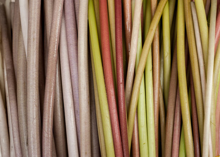 Water lilly stems colorful texture. Fresh organic vegetables and fruits at asian marketの写真素材