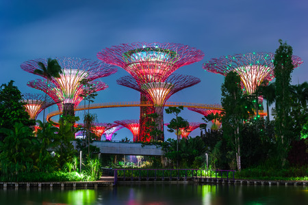 SINGAPORE -DEC 31: Futuristic view of amazing illumination at Garden by the Bay on Dec 31, 2013 in Singapore. Night light show at Supertree Groveis is main Marina Bay Sands district tourist attractionのeditorial素材