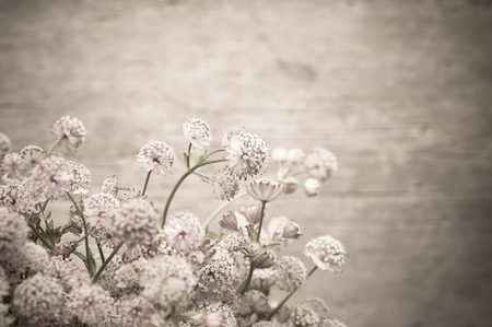 Beautiful tender bouquet of summer meadow flowers on wooden background. Floral composition in rural...