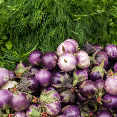 Eggplants and dill. Vegetables and herbs for sale at asian market. Organic food backgroundの写真素材
