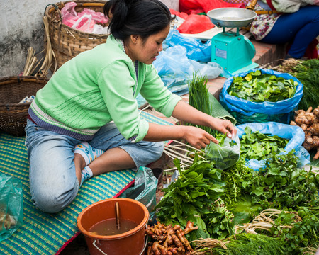 LUANG PRABANG, LAOS - DEC 8: Unidentified woman selling green grocery and spices at traditional asian food marketplace on Dec 8, 2013 in Luang Prabang, Laosのeditorial素材