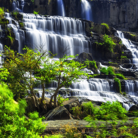 Tropical rainforest landscape with flowing Pongour waterfall. Da Lat, Vietnamの写真素材