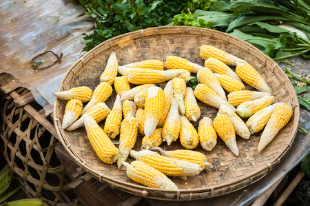 Organic corn ears for sale at outdoor asian marketplace. Food backgroundの写真素材