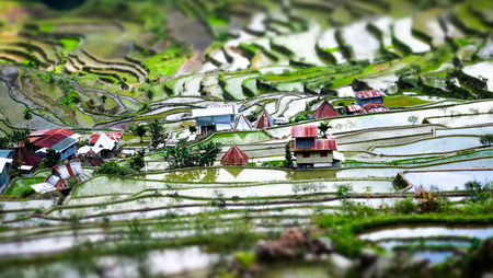 Amazing tilt shift effect view of rice terraces fields and village houses in Ifugao province mountains. Banaue, Philippines UNESCO heritageの写真素材