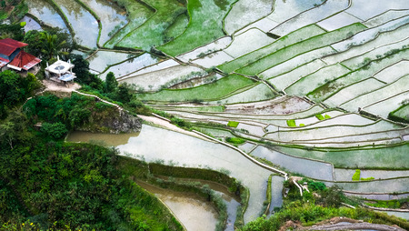 Village houses near rice terraces fields. Amazing abstract texture with sky colorful reflection in water. Ifugao province. Banaue, Philippines UNESCO heritageの写真素材