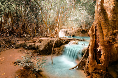 Fantasy jangle landscape with turquoise waterfall at deep tropical rain forest. Concept  for mysterious nature backgroundの写真素材
