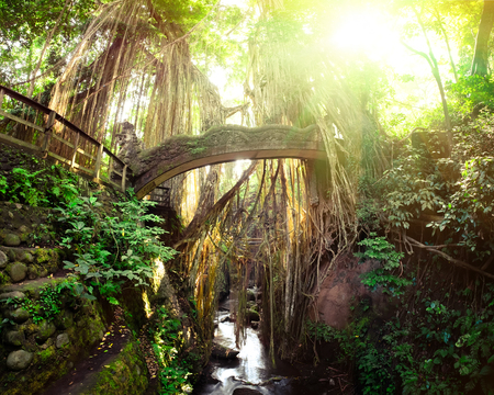 Surreal sunrise colors of fantasy Monkey Forest with Barong Lion bridge and Hindu Temple. Bali, Indonesia. Concept landscape for mysterious backgroundの写真素材