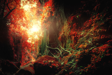 Surreal colors of fantasy landscape at mystical tropical mossy forest with amazing jungle plants. Concept for mysterious nature and fairy tale backgroundの写真素材