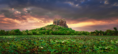 Amazing sunset view of Lion Rock with ancient fortress and temple in Sigiriya, Sri Lanka. Lotus flowers pond at foregroundの写真素材