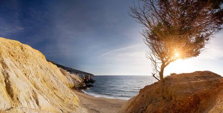 Amazing sunset on Milos island. Sandy beach and soft Aegean sea surf. Lonely tree growing at colorful rock. Evening sun shining in brunches and leaves. Paradise place in mediterranean Greeceの写真素材