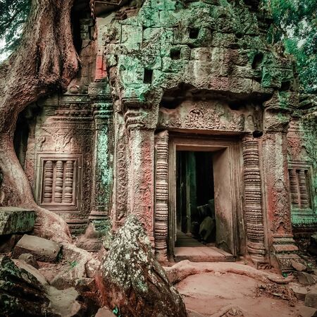 Ancient Khmer architecture. Ta Prohm temple with giant banyan tree at Angkor Wat complex, Siem Reap, Cambodia. Two images panoramaの写真素材