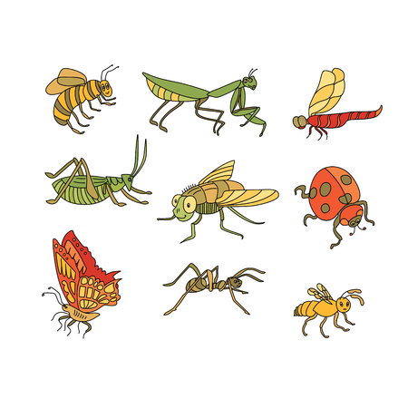 Awesome vector set of funny Insects in cartoon style: bee, mantis, dragonfly, grasshopper, fly, ladybird, butterfly, ant, wasp.のイラスト素材