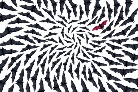 Fantasy bats flying spiralの写真素材