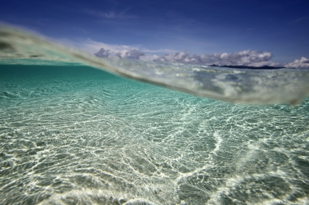 Tropical island beach turquoise water underwater view, Raja Ampat islandsの写真素材