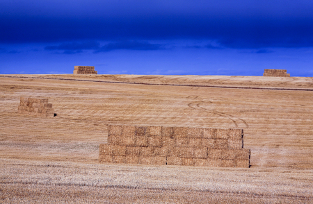 Haystacks in agriculture fieldの写真素材