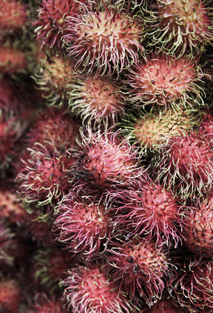 Fresh rambutan fruit closeup detailの写真素材