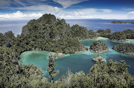 Jungle covered islets in the Raja Ampat islands, West Papua, Indonesiaの写真素材