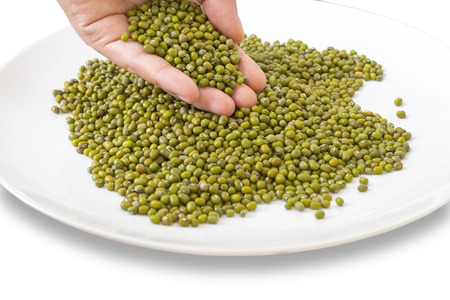 Hand hold mung bean on dishの写真素材