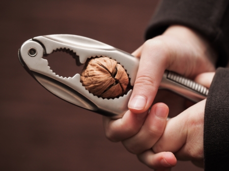 Cracking the Nutの写真素材