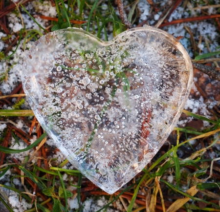 Heart of Iceの写真素材