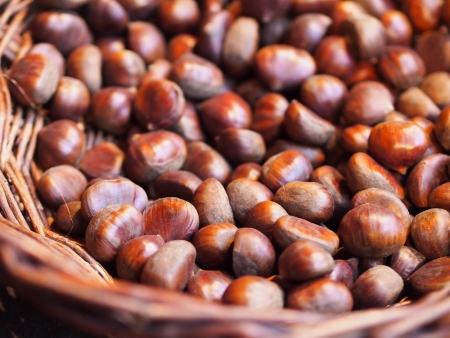 Chestnutsの写真素材