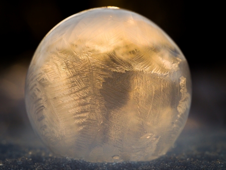Frozen Soap Bubbleの写真素材
