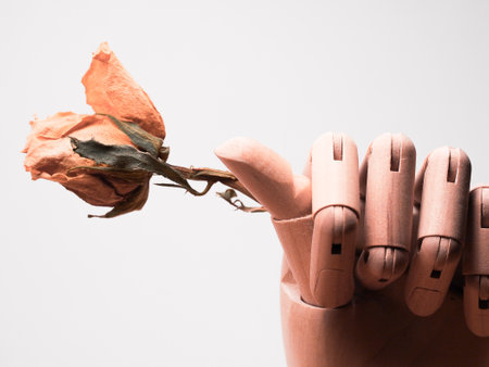 Wooden hand holding a dried roseの写真素材