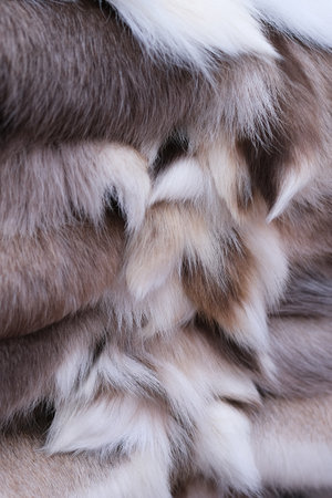 A pile of reindeer fur