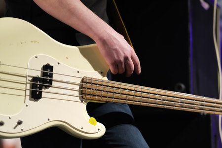 Electric bass guitar