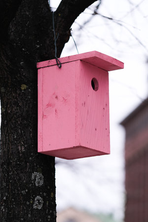 A pink bird house on a treeの写真素材