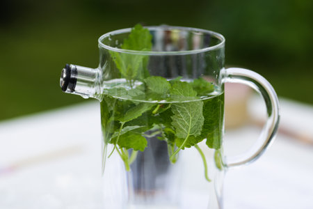 Water can with fresh mint leavesの写真素材