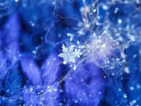 Snow flake on a woolen sweater