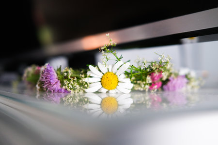 Flowers on a white surfaceの写真素材