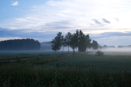 Misty morning at the countrysideの写真素材