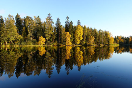 A lake in Finland in autumnの写真素材