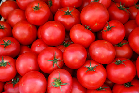 Delicious red farmers tomatoes. Summer tray market agriculture farm full of organic vegetables It can be used as background. (selective focus). top view, horizontal, verticalの写真素材