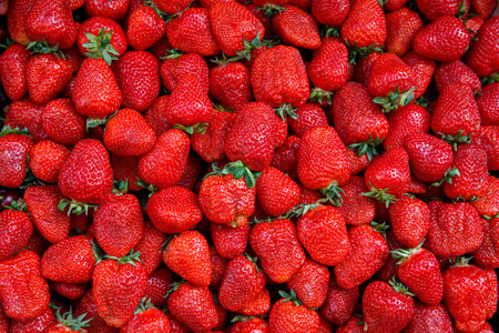 Ripe of strawberry. Fresh organic strawberries macro. Red strawberry background, top view, horizontal, vertical.の写真素材