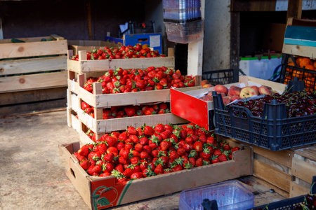Freshly harvested strawberries in wooden boxes on the floor in the farmer market. Horizontal, side view, copy spaceの写真素材
