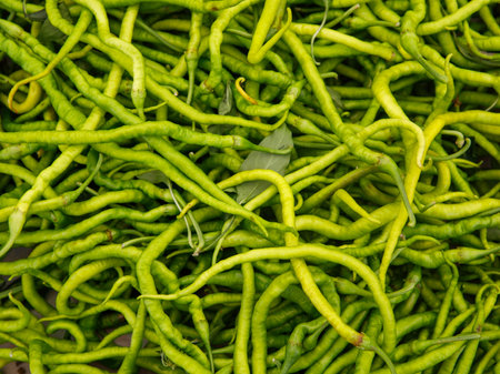 Green hot chilli peppers pattern texture full frame background. A backdrop of fresh green hot chilli peppers. Street vegetable farmer market. Close up group of green hot chili peppers.の写真素材