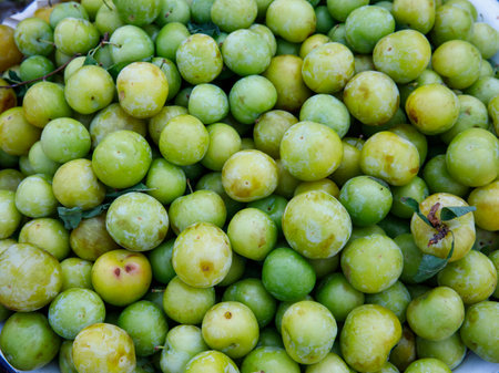 Heap of fresh organic green plums Yesil erik at a local farmer market market, Turkey. Full frame background, close upの写真素材