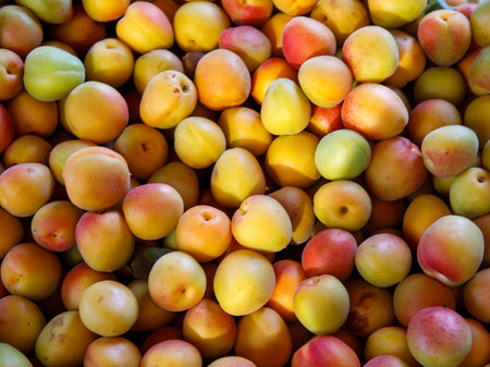 Ripe apricots fruit on a local farmer street fruit vegetables market, ecological food, full frame backgroundの写真素材