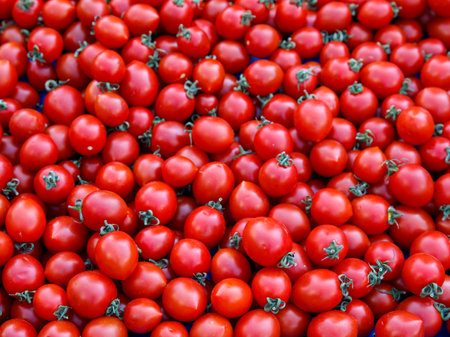 Delicious red farmers cherry tomatoes. Summer tray market agriculture farm full of organic vegetables. Full frame background close up selective focus. top view, horizontal, verticalの写真素材