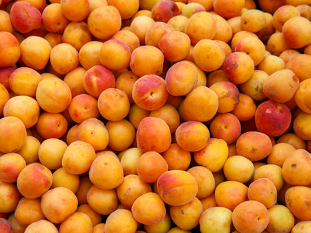 Ripe apricots fruit on a local farmer street fruit vegetables market, ecological food, full frame backgroundの写真素材