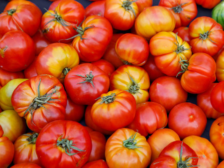 Delicious red orange yellow farmers tomatoes. Summer tray market agriculture farm full of organic vegetables. Full frame background close up selective focus. top view, horizontal, verticalの写真素材
