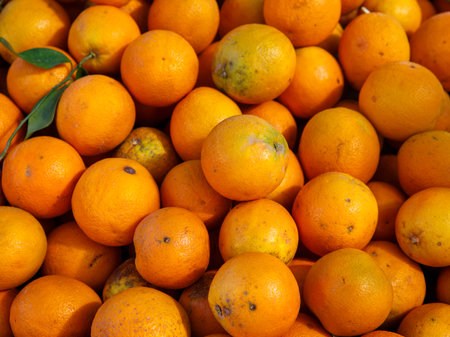group of fresh organic tangerin orange in the local market. Full frame fruit background. Top view copy space close upの写真素材