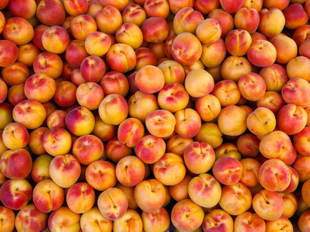 Ripe apricots fruit on a local farmer street fruit vegetables market, ecological food, full frame backgroundの写真素材