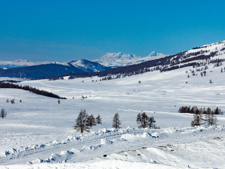 View to Jazator river valley in winter day. Russia South Of Western Siberia, Altai Mountains. Desert mountains and country road covered with snow near village of Jazator. Sailungemskiy national parkの写真素材