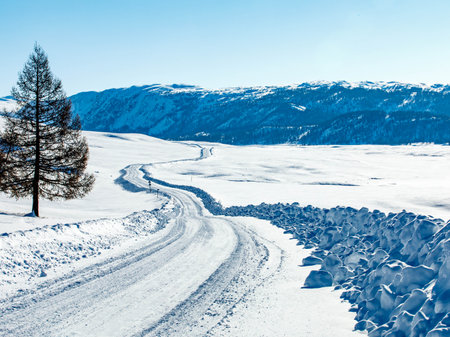 View to Jazator river valley in winter day. Russia South Of Western Siberia, Altai Mountains. Desert mountains and country road covered with snow near village of Jazator. Sailungemskiy national parkの写真素材
